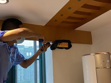 宁西验收白蚁公司白蚁危害防治的三个步骤