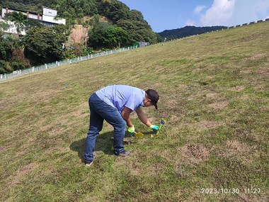 福和除四害机构水库大坝的鼠害防控方法
